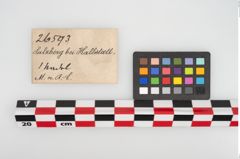 Etikett zu Bronzemehrkopfnadel (NHMW-PRAE-026593)